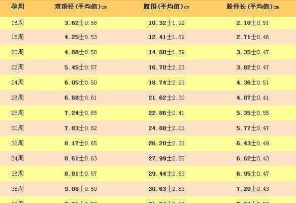 胎儿头大腿长是男孩吗(胎儿头大腿长是男孩还是女孩) 第1张 胎儿头大腿长是男孩吗(胎儿头大腿长是男孩还是女孩) 第1张