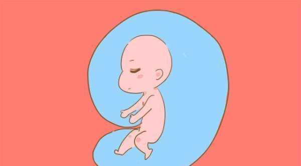 孕三十二周胎儿入盆吗(孕三十二周胎儿入盆吗) 第3张 孕三十二周胎儿入盆吗(孕三十二周胎儿入盆吗) 第3张