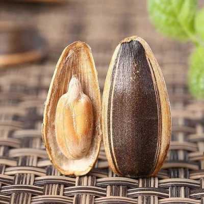 孩子吃瓜子的好处,孕妇吃瓜子对胎儿有什么好处和坏处 第2张 孩子吃瓜子的好处,孕妇吃瓜子对胎儿有什么好处和坏处 第2张
