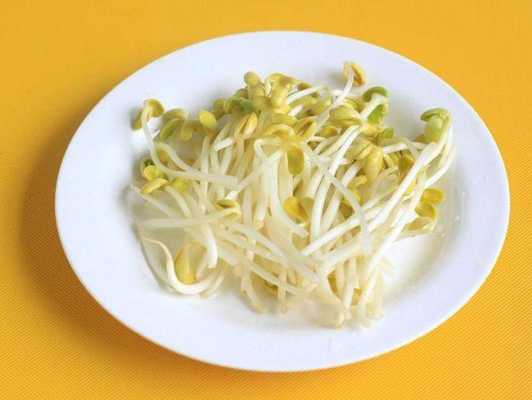 孕期可以吃豆芽吗(吃豆芽的好处与坏处) 第1张 孕期可以吃豆芽吗(吃豆芽的好处与坏处) 第1张