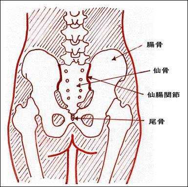 胎儿仰卧位是什么情况(胎儿仰卧位是什么情况导致的) 第2张 胎儿仰卧位是什么情况(胎儿仰卧位是什么情况导致的) 第2张