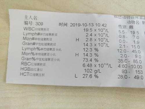 孕期单核细胞偏高(孕期单核细胞偏高) 第2张 孕期单核细胞偏高(孕期单核细胞偏高) 第2张