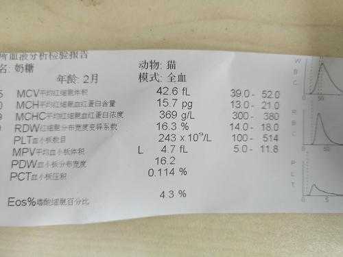 孕期单核细胞偏高(孕期单核细胞偏高) 第1张 孕期单核细胞偏高(孕期单核细胞偏高) 第1张