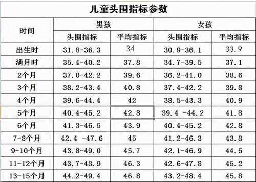 6个月胎儿头围标准(6个月胎儿头围标准表) 第3张 6个月胎儿头围标准(6个月胎儿头围标准表) 第3张