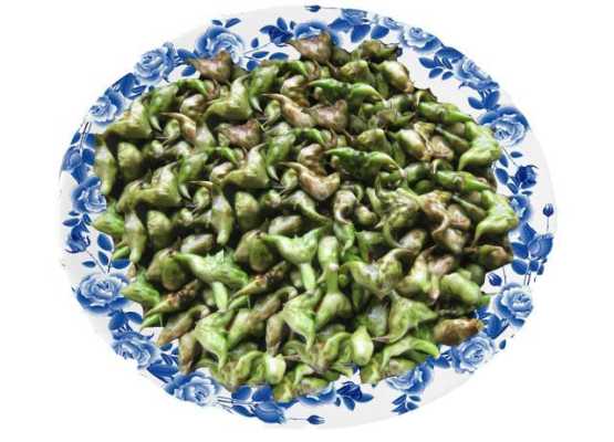孕期可以吃菱角吗(菱角为什么不能吃) 第1张 孕期可以吃菱角吗(菱角为什么不能吃) 第1张