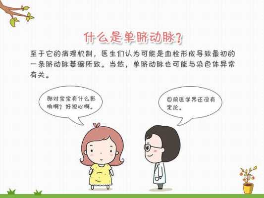 单脐动脉的孩子会早产吗？单剂动脉的孕妇会怎么样,一根脐动脉是怎么回事  第2张
