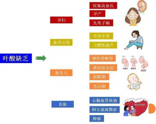 孕期叶酸过量的危害（孕期叶酸过量的危害有哪些）  第1张