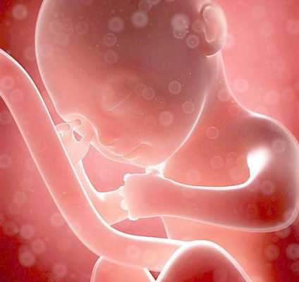 怀孕两个月胎儿发育情况（怀孕两个月胎儿发育情况图解）  第1张