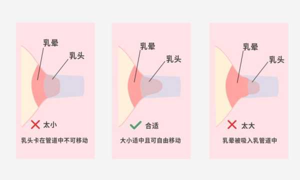 孕妇挤奶正确姿势,孕期乳房护理手法图片大全 第2张 孕妇挤奶正确姿势,孕期乳房护理手法图片大全 第2张