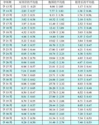 孕33周双顶径88是正常的吗,孕33周胎儿双顶径标准对照表  第2张