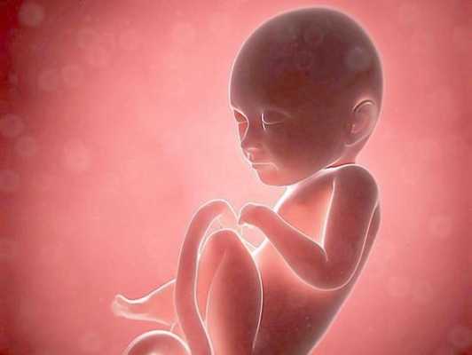 孕18周胎儿在什么位置？18周的胎儿有多大啦,怀孕两个月胎儿位置图片  第2张